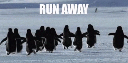 Penguins Running in Snow