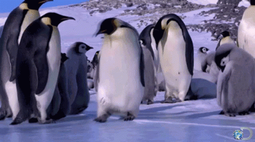 Penguins Standing on Snow with Globe