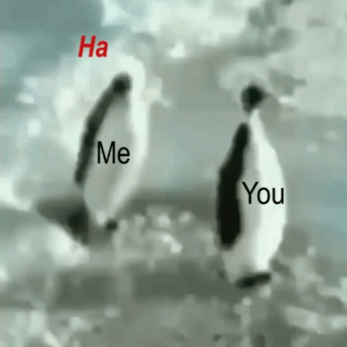 Penguins Standing With Ha Me You