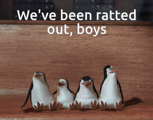 Penguins We've Been Ratted Out Boys