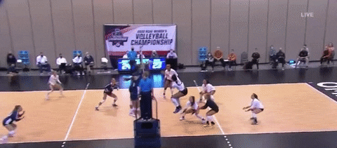 Penn State Nittany Lions During Volleyball Game GIF
