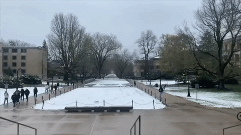 Penn State Snowy Grounds GIF