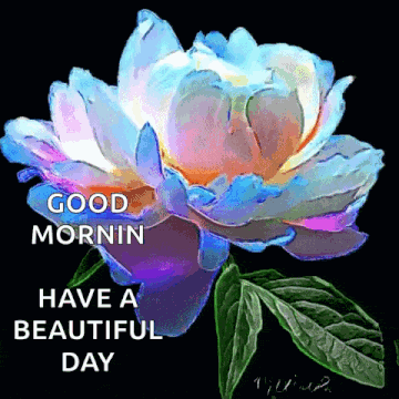 Peony Good Luck Gif GIF