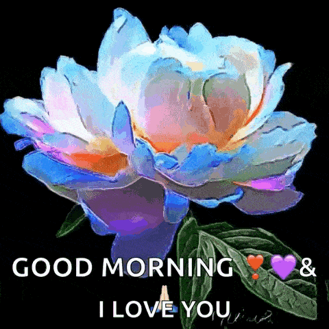 Peony Good Luck Gif GIF