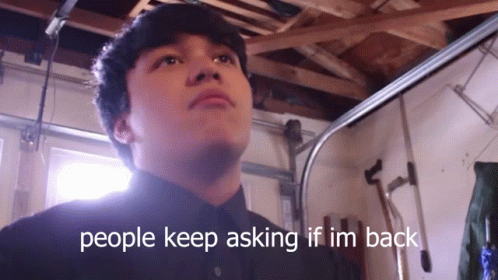 People Asking If I'm Thinking I'm Back GIF