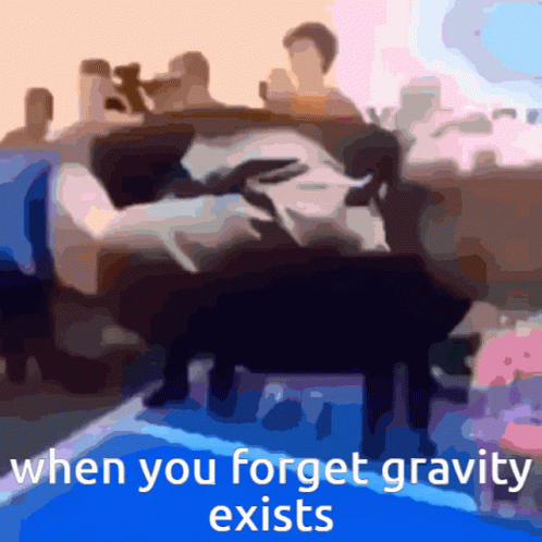 People Dont Forget Gravity Exists GIF