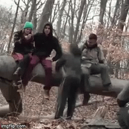 People Falling Massive Forrest Log GIF