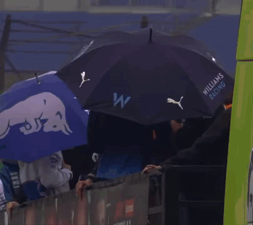 People Holding Umbrellas Saying Visa
