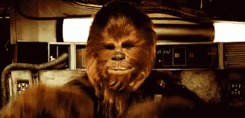 People in Star Wars Costumes