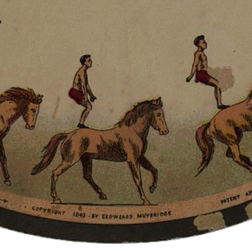 People Jumping On Horse Loop GIF