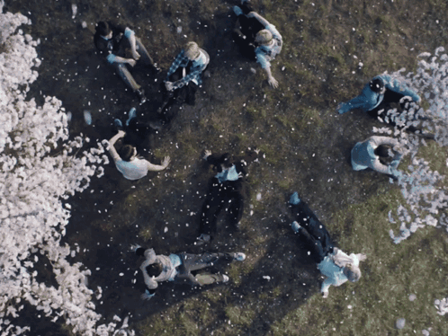 People Lying on Grass with Falling Flowers