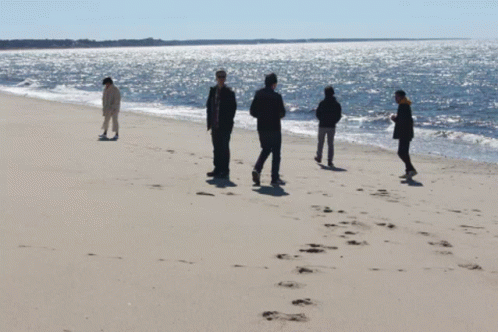 People on Sandy Beach Looking at Ocean