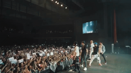 People On Stage With Smoke And Crowd GIF