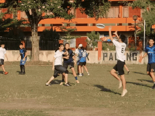 People Playing Frisbee Pal ng Wall