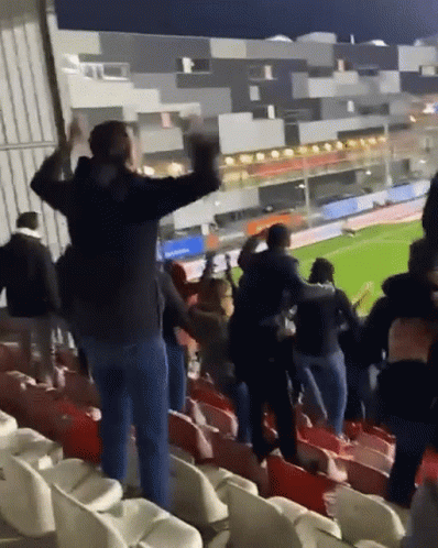 People Raising Hands In Stadium GIF