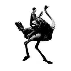 People Ride With Ostrich Long Time Ago GIF