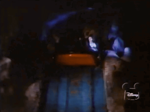 People Riding Disney Roller Coaster