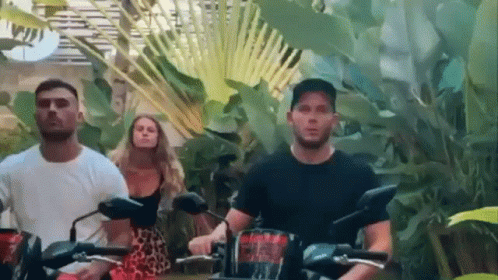 People Riding Motorcycles in Lush Green Forest