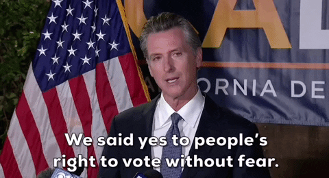People's Right To Vote Gavin Newsom GIF