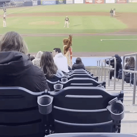 People Sitting In Stadium Watching Baseball Game With Mascot GIF