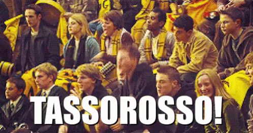 People Sitting in Stadium with Tassorosso