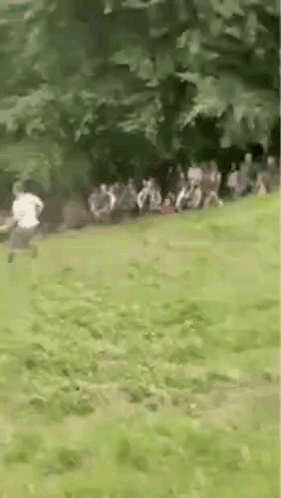 People Sitting on Grass in Park