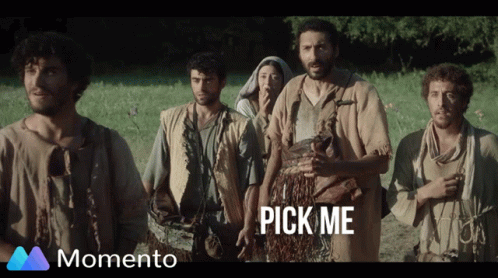 People Standing in Field Pick Me