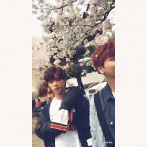 People Standing Next to Flowering Tree