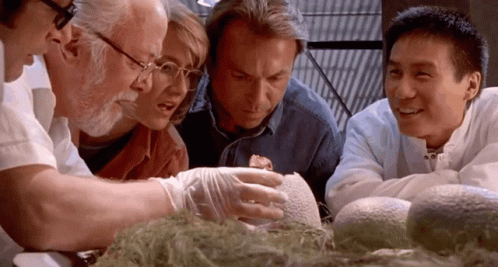 People Viewing Fossil In Museum GIF