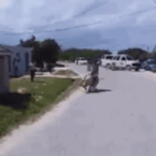People Walking Down Street GIF