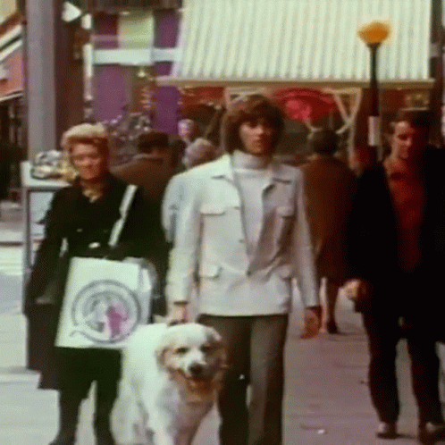 People Walking With Dog And Woman Carrying Shopping Bag GIF