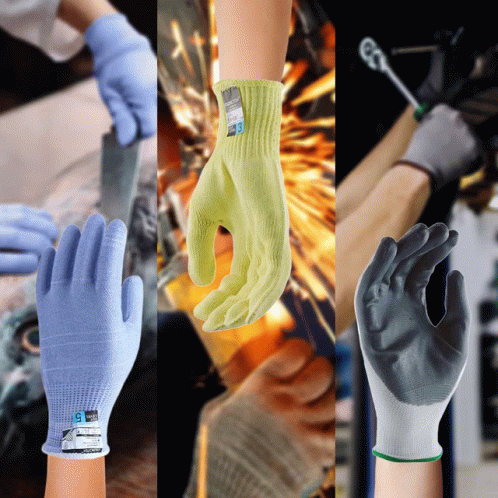 People Wearing Different Types of Gloves