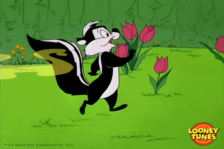 Pepe Le Pew Chill Walking GIF