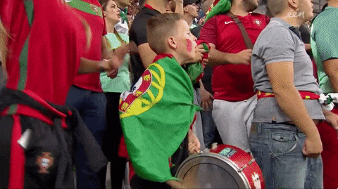 Pepe Portugal Football Champion Fans Reaction GIF