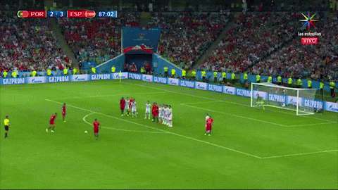 Pepe Portugal National Football Goal GIF