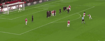 Pepe Portugal Player Goal GIF