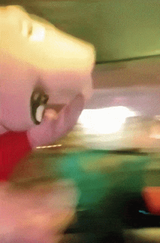 Peppa Pig Hanging From Ceiling Meme GIF