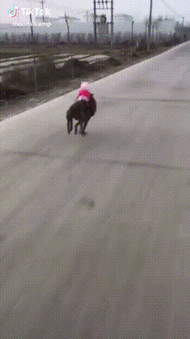 Peppa Pig Plushie Dog Ride GIF