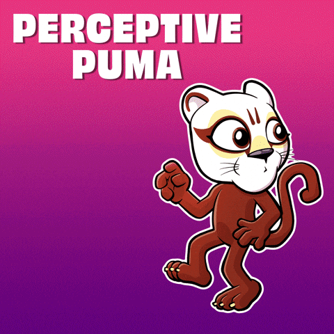 Perceptive Puma Cat