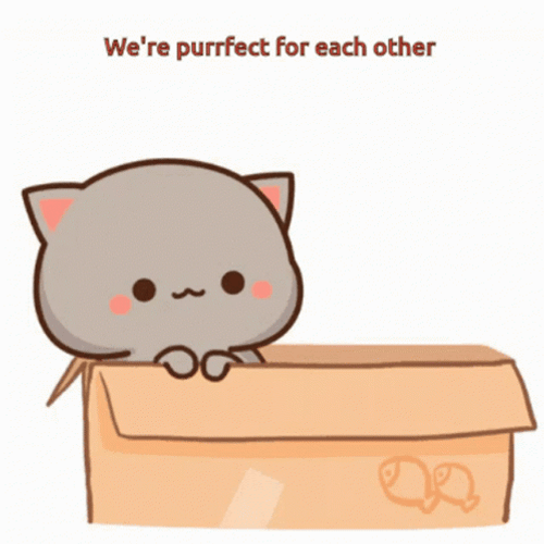 Perfect Cute Kittens You Complete Me GIF