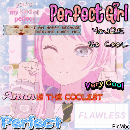Perfect Girl