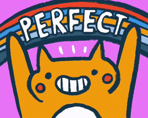 Perfecto Cat Nice Perfect Rainbow GIF