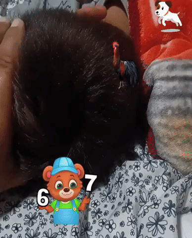 Perro Gallo Jajaja GIF