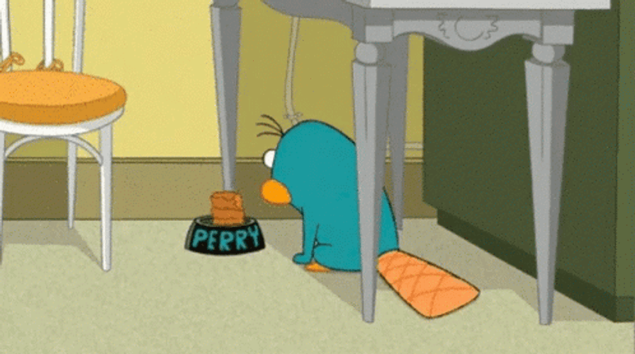 Perry The Platypus Smelling Food GIF