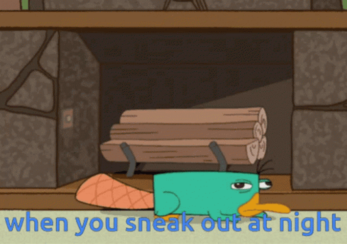 Perry The Platypus When You Sneak Out GIF