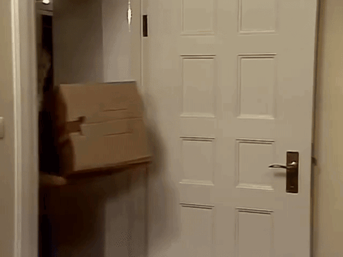 Person Carrying Cardboard Box