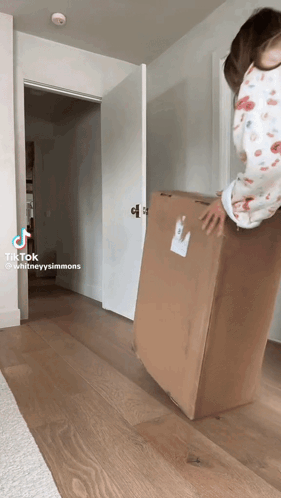 Person Carrying Large Cardboard Box