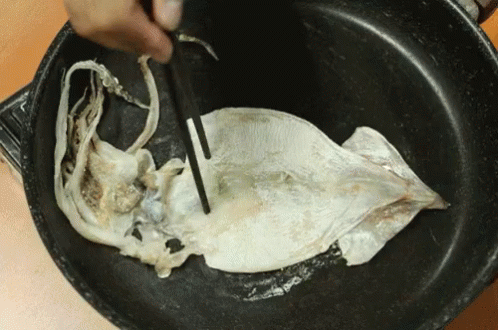 Person Cooking Large Squid in Frying Pan