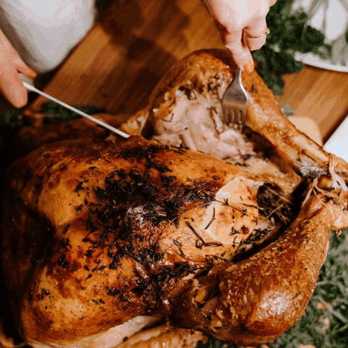 Person Cutting Roasted Turkey