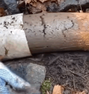 Person Cutting Wood With Knife GIF